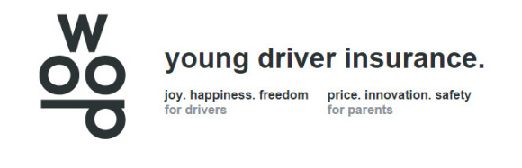 woopyoungdriver